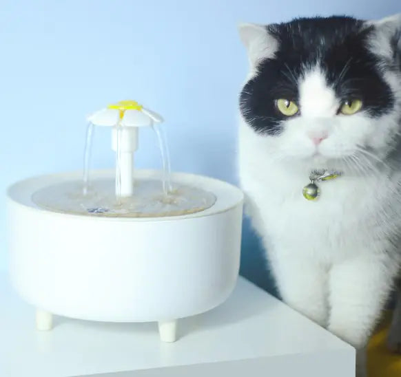 Automatic Pet Water Fountain - 1200mL Cat Drinking Dispenser