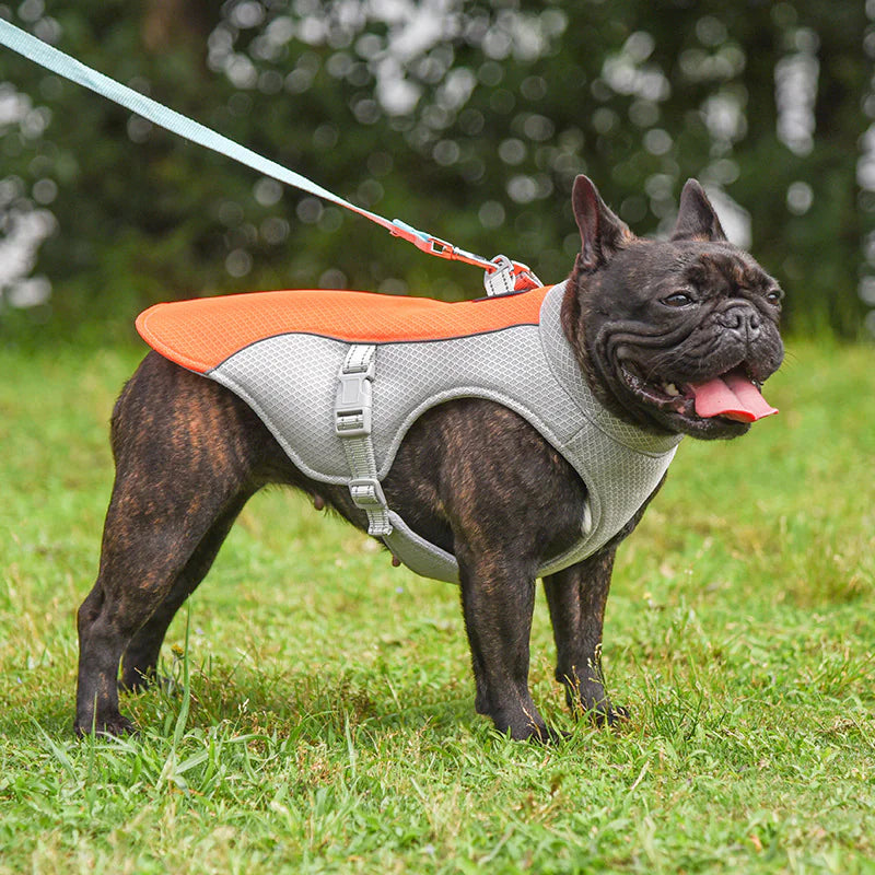 Cooling Vest for Pets - Summer Heat Relief for Dogs