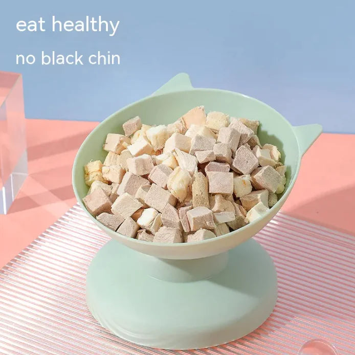 Oversize Plastic Pet Bowl - Cat Food & Water Dish