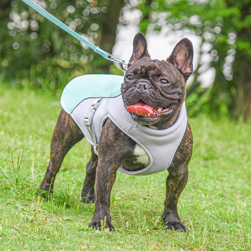 Cooling Vest for Pets - Summer Heat Relief for Dogs