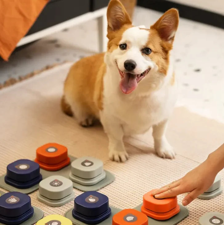 Pet Communication Button - Interactive Training Toy for Dogs & Cats