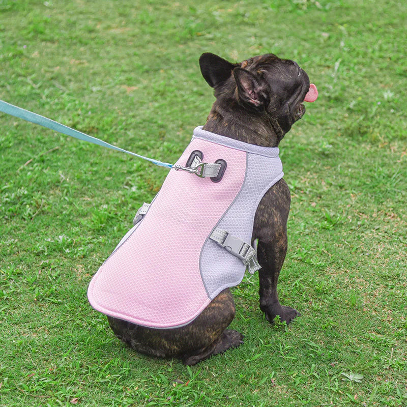 Cooling Vest for Pets - Summer Heat Relief for Dogs